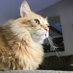 Meet your Posher, Sophia